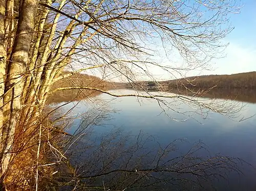 View of Pine Acres Lake looking north from close to the southern start of the Natchaug Trail