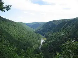 A view of a wooded gorge with a stream in the bottom and a trail to the left of the stream, the trees are covered with leaves and are mostly deciduous.