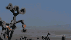 Plumbbob-Fizeau, 11-kilotons