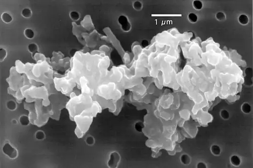 Image 43Porous chondrite dust particle (from Cosmic dust)