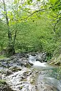 River Povlen, Middle Povlen