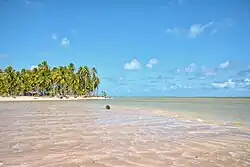 Tatuamunha Beach