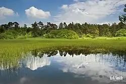 Priddy Pools ponds landscape image