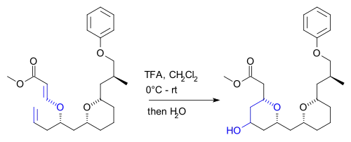 Prins reaction Kwon 2008
