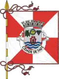 Flag of City of Fafe