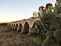 Ojuelos.