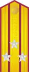 Shoulder board RA infantry/ motorized infantry (1943-1946)/ CA (1946-55)