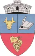 Coat of arms of Sâncel