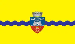 Flag of Arad