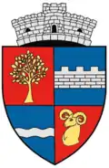 Coat of arms of Cășeiu