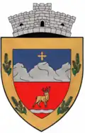 Coat of arms of Sita Buzăului