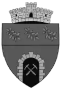 Coat of arms of Băița