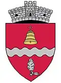 Coat of arms of Ciurea