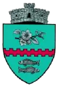 Coat of arms of Bunești
