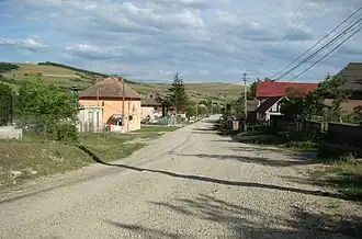 Aluniș village