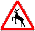 Deer crossing
