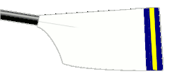 Image showing the rowing club's blade colours
