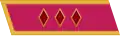 Jacket collar patch and gymnastyorka