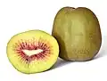 Actinidia chinensis var. chinensis red kiwifruit variety
