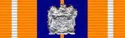 Pro Patria Medal (South Africa)