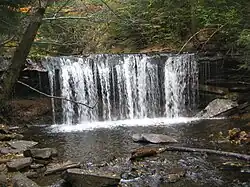A front-on view of a wide falls. The stream falls as a curtain of water into a plunge pool. It is autumn, with leaves in various stages of color on the trees; some are green and others are orange or yellow.
