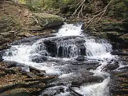 A slide falls with a large rock in the center of the stream dividing the falls to the left and right. A large flat-topped boulder is on the left bank in the center, and dead limbs reach down into the stream at top right. Fallen leaves cover many of the rocks along the stream.