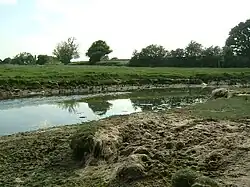 Medieval shipbuilding site on the River Hamble