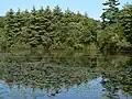 Echo Pond