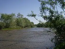 The river near Gorna Rositsa