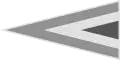 Hungarian Air Force low visibility version (since 2007-)