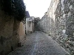 La rue du Général-Meusnier as seen from the north-west.