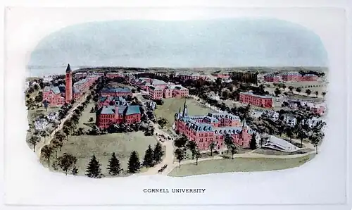 Cornell University (1910)