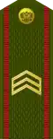 Сяржант Siaržant (Belarusian Ground Forces)[44]