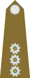 Kaptein South African Army