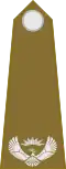 Major (South African Army)[80]