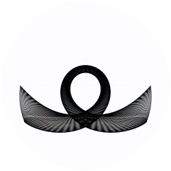 An orbit of the swinging Atwood's machine for , , and zero initial velocity.