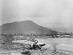Apia and the beach covered in driftwood and debris from the wrecked warships.