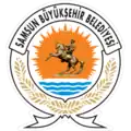 Official logo of Samsun