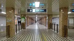 Passageway between Namboku Line and Toho Line platforms