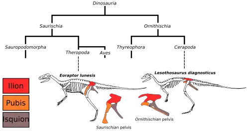 Figure 2d