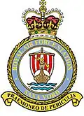 RAF Saxa Vord badge
