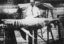 Image 43Michael Schleisser and the "Jersey man-eater" as seen in the Bronx Home News (1916) (from History of New Jersey)