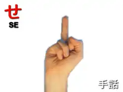 指文字：　せ SE