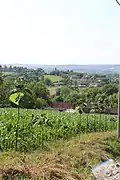 Belosevac - panorama