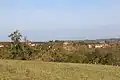 Gornje Crniljevo - panorama