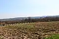 Klašnić - panorama