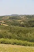 Miličinica - Panorama