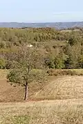 Vragočanica - panorama