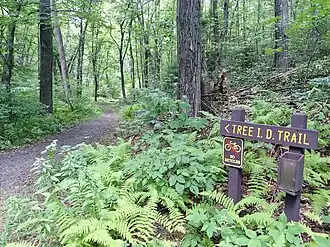 Sessions Woods Wildlife Management Area Tree ID Trail