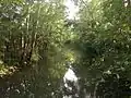 Crow Creek